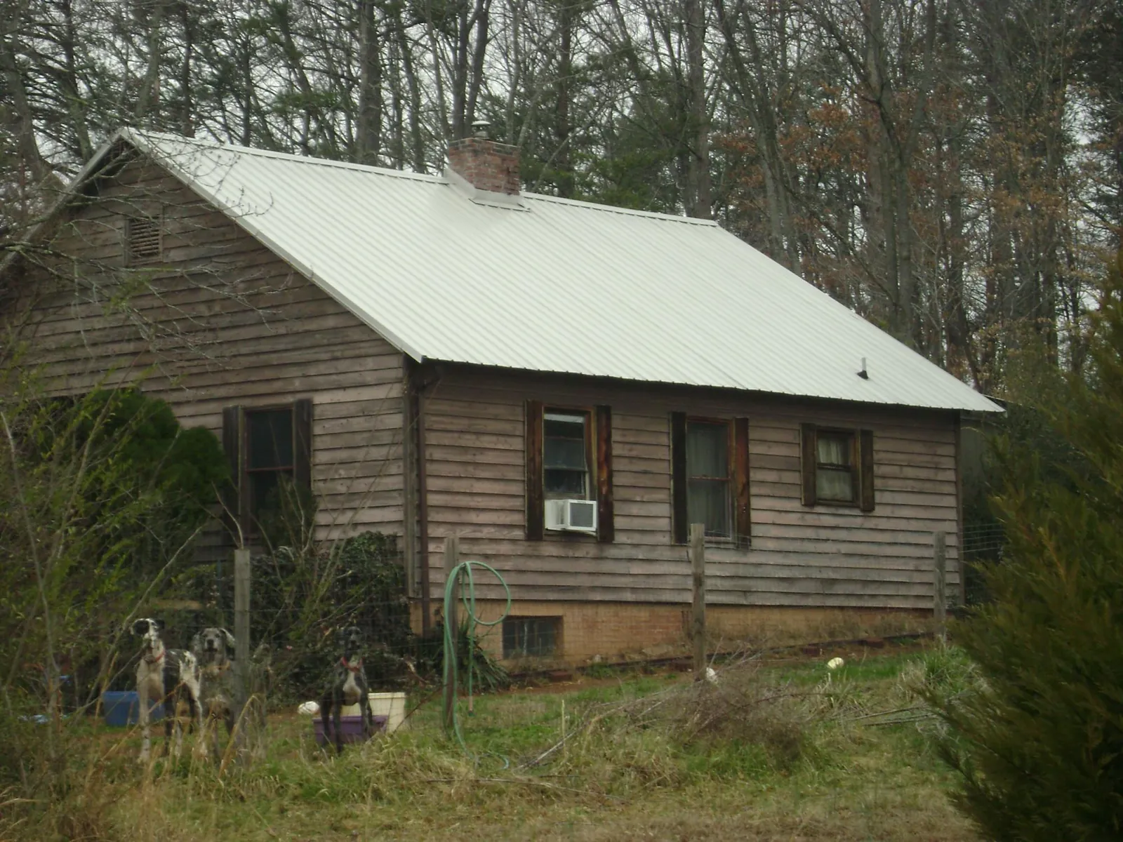White metal roof on an old wood sided farmhouse, from a Asphalt Shingle Roof Repair job in Orlinda